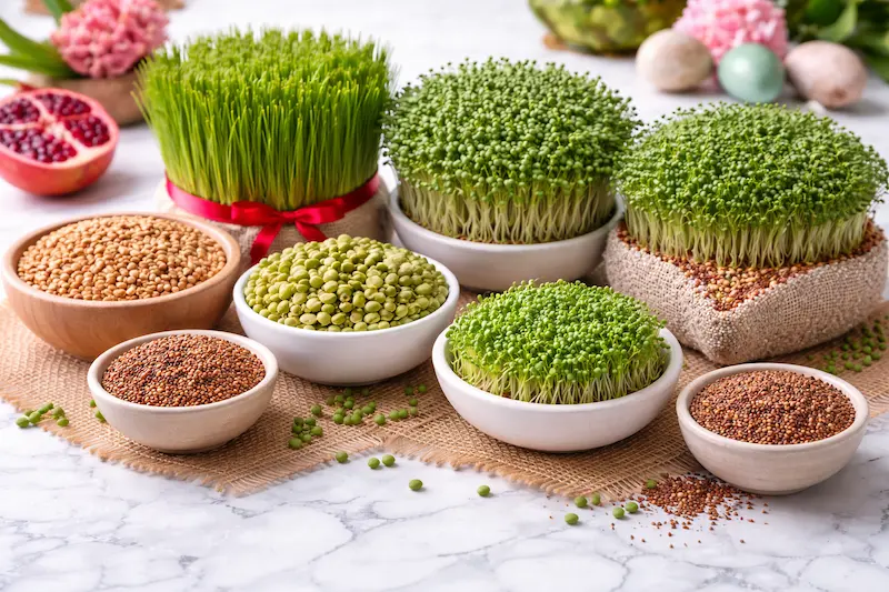 بهترین دانه‌ها برای سبزه عید زیبا و پرپشت